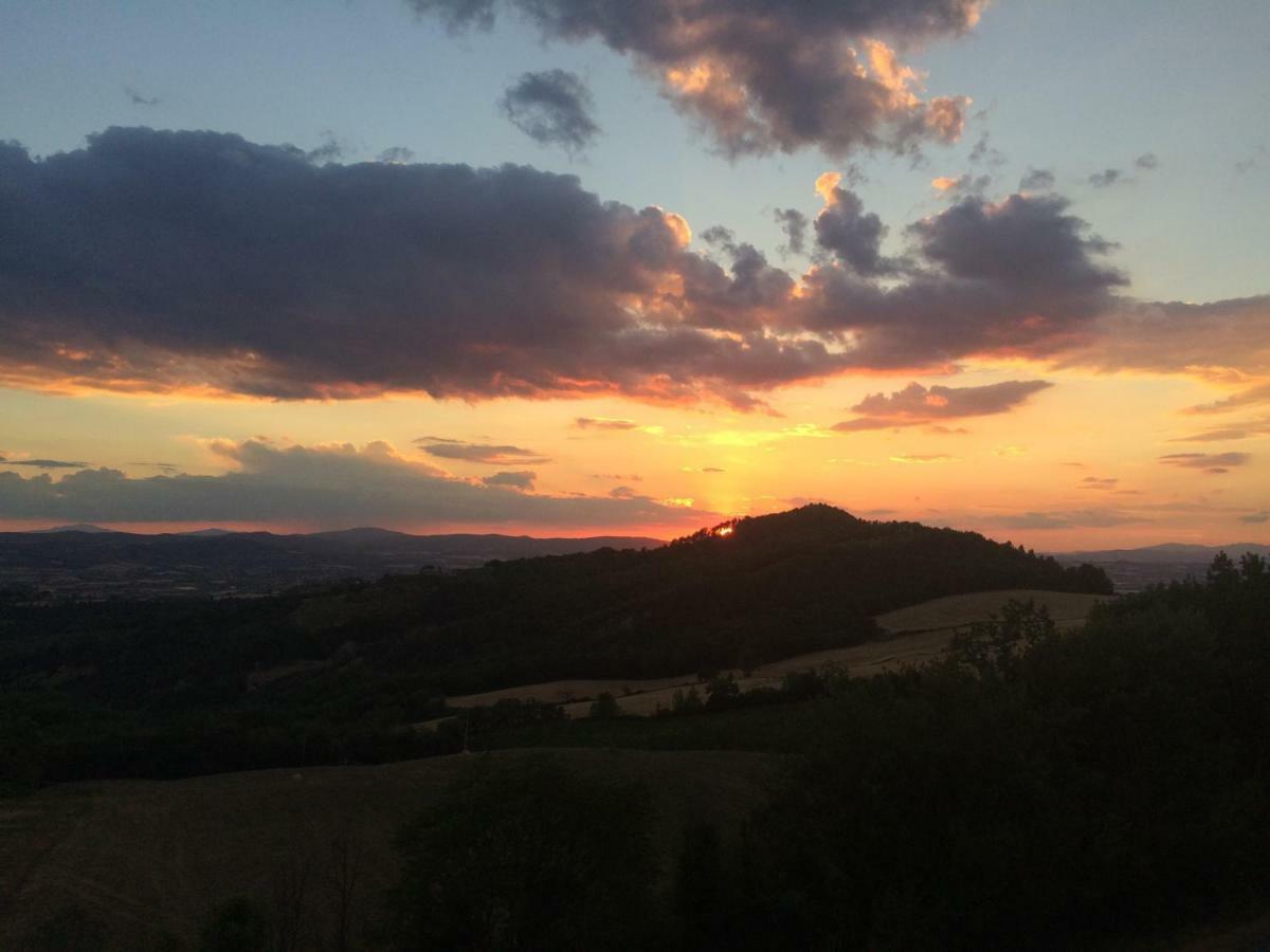 Umbria, "Casa Sagrantina" Con Piscina E Pergolato Διαμέρισμα Collazzone Εξωτερικό φωτογραφία