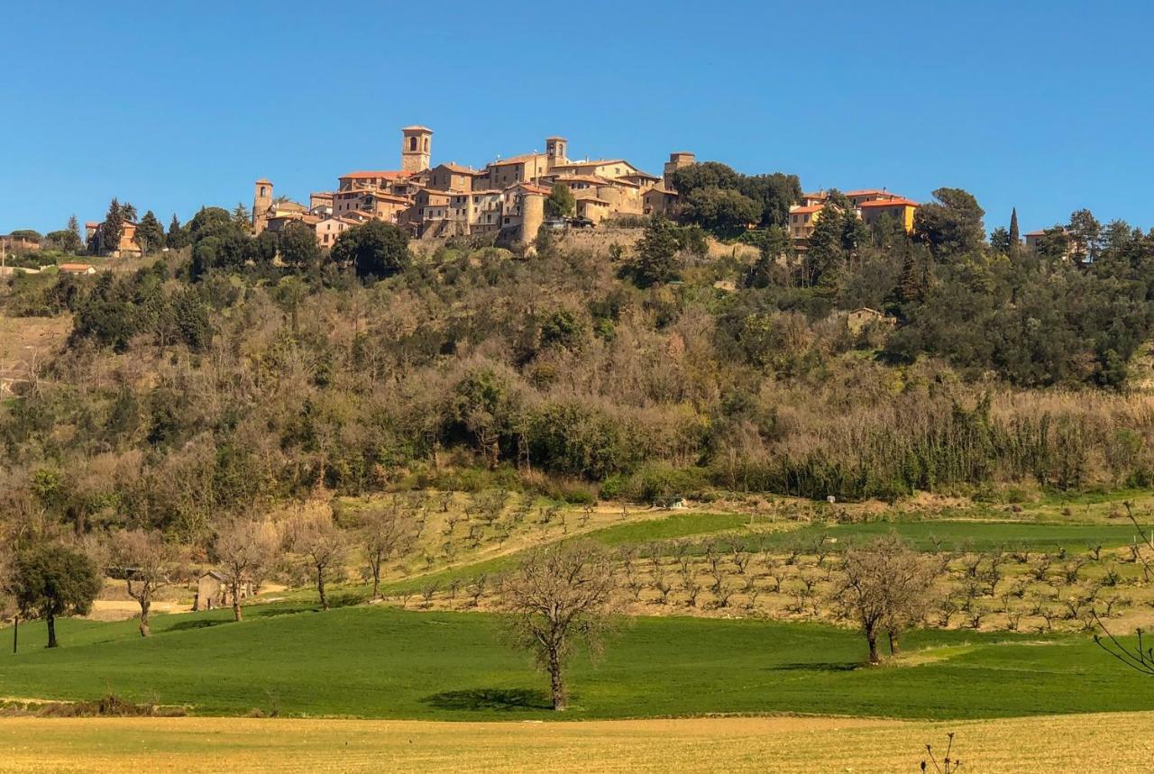 Umbria, "Casa Sagrantina" Con Piscina E Pergolato Διαμέρισμα Collazzone Εξωτερικό φωτογραφία